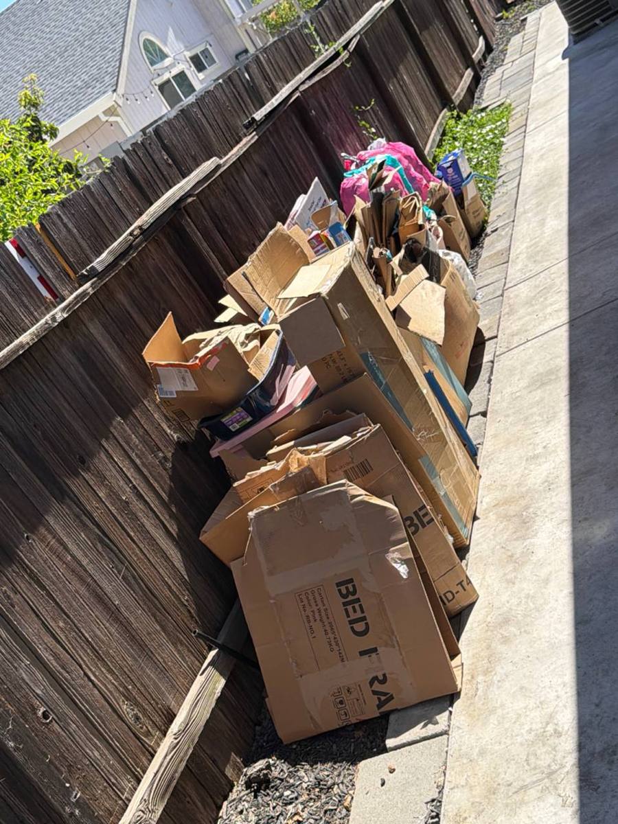 Before MZM junk removal — Walkway Cleanout — Roseville, CA